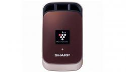 シャープ   IG-HC1-T [ブラウン系]